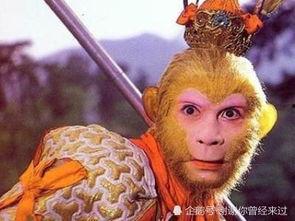 孙悟空吃瓜子图片,品味瓜子的奇幻之旅