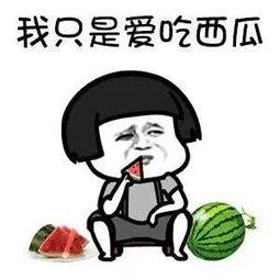 娱乐吃瓜喷子是谁,娱乐吃瓜喷子的崛起与争议