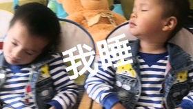 娱乐吃瓜酱打瞌睡