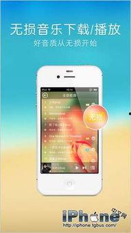 娱乐吃瓜君修手机,揭秘手机维修背后的故事